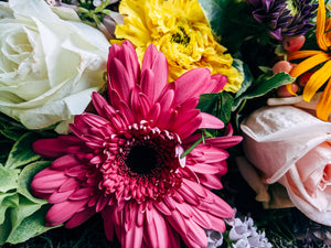 Delightful Roses and Daisy Bouquet by V Florist